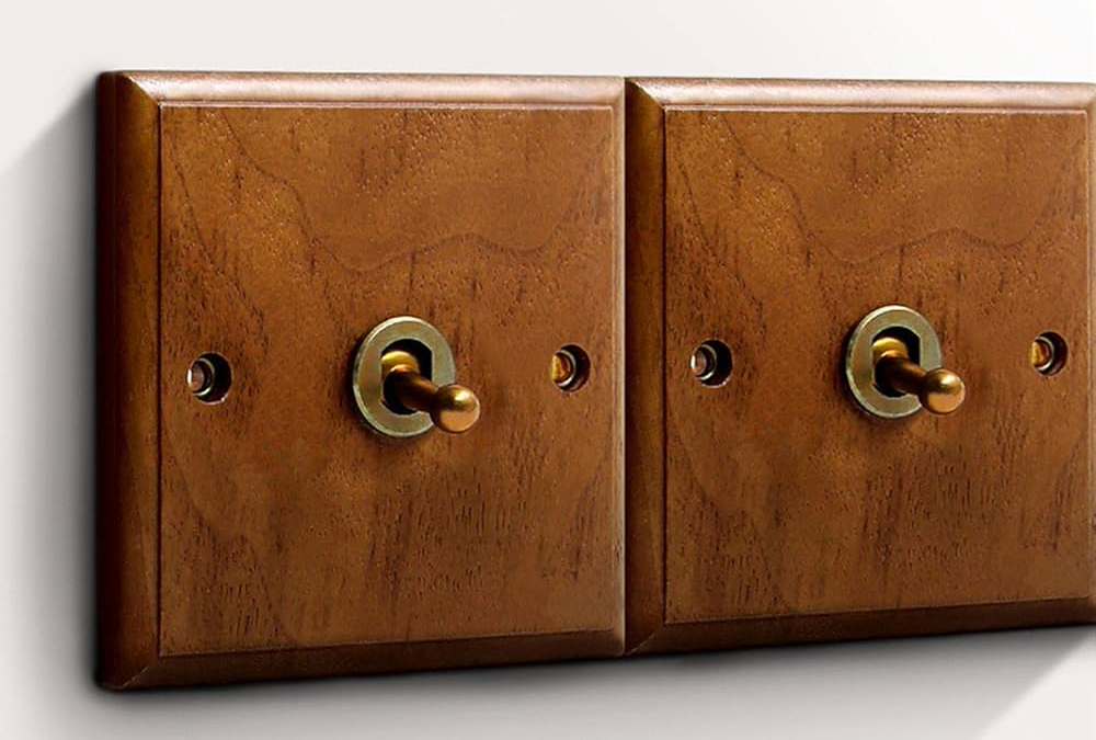 Rustic vintage-style brass toggle switches mounted on a dark teak wood backplate—heritage farmhouse interior design in Siruvani.