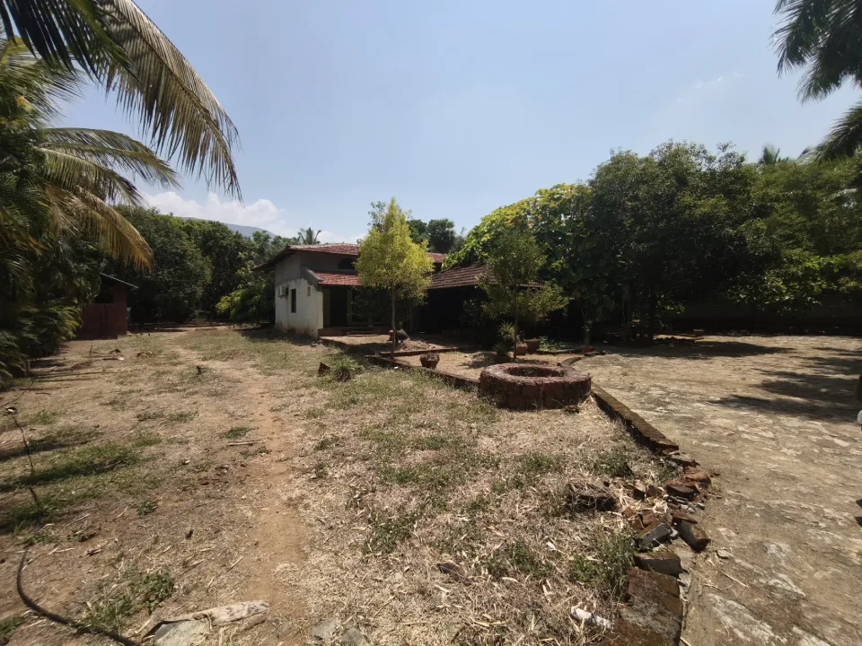 23-acre coconut grove resort for sale in Pollachi foothills