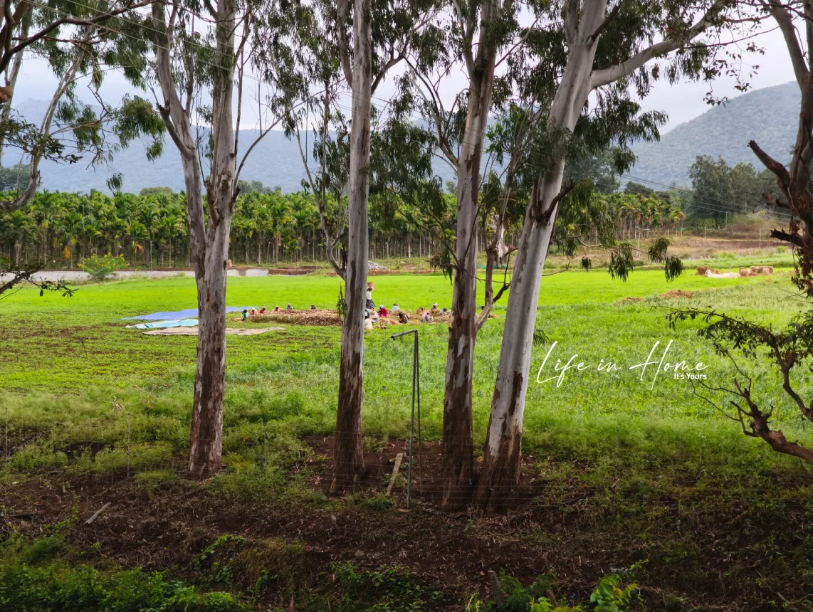 verified-farmland-for-sale